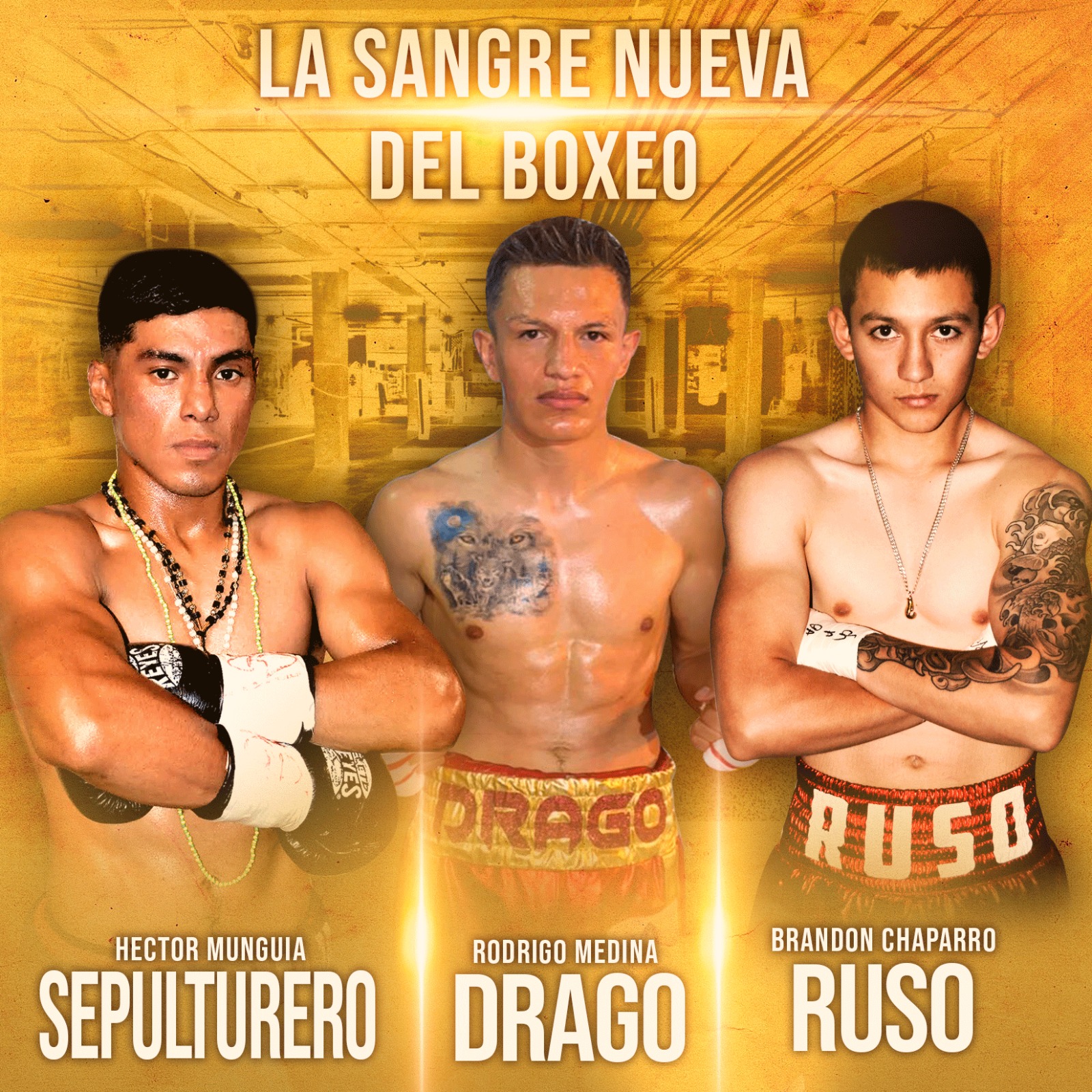 ‘EL RUSO’, ‘SEPULTURERO’ JR. Y ‘DRAGO’, LA SANGRE NUEVA DEL BOXEO, ARRIESGAN EL INVICTO 